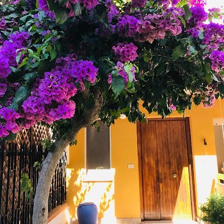Le Stanze Di Botticelli Bed & Breakfast แตร์โมลิ ภายนอก รูปภาพ